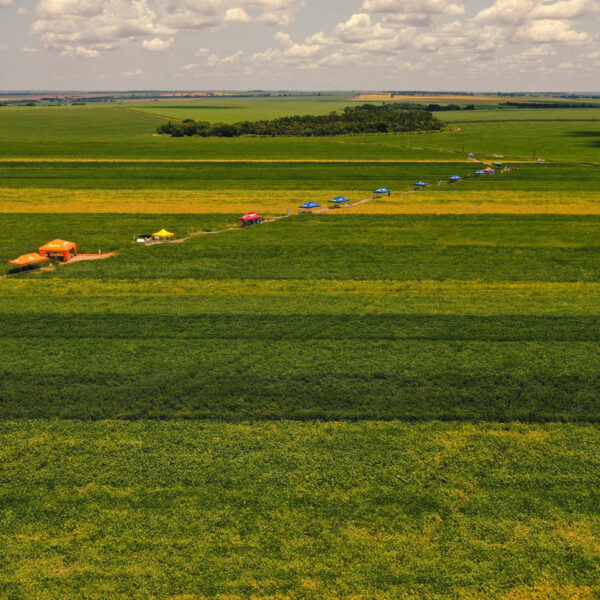 REGIONAL AGRO DIA CAMPO 6