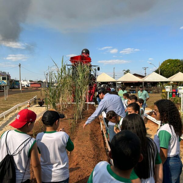 WhatsApp Image 2024 07 23 at 16 34 36 2 600x600